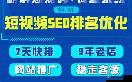 SEO 短视频网页入口网站推广：全新体验等你来