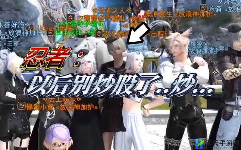 FF14 中炒股含义是什么