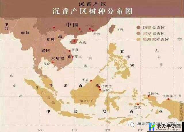 沉香一线产区和二线产区的区别：深度剖析