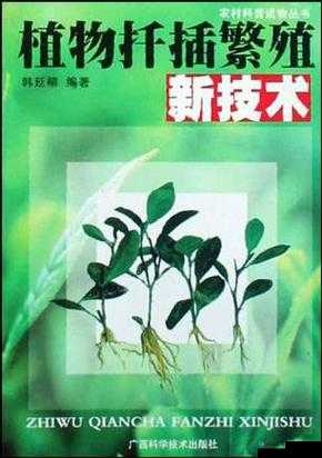 扦插 BB 有何益处：促进植物繁殖与生长