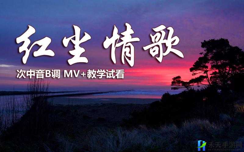 探秘欧美 MV 日韩 MV 最火的一句：探寻流行音乐之魅