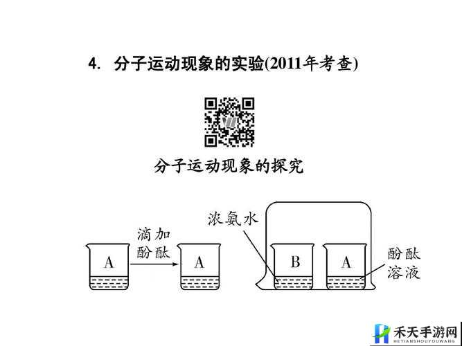 yingdan小镇公交车尺寸有何特别：探究其奥秘