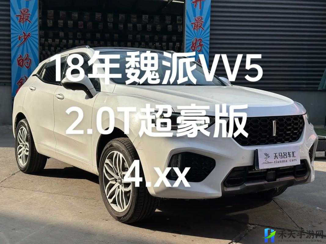 wey VV5 国产 SUV 增加收费内容？平台新玩法