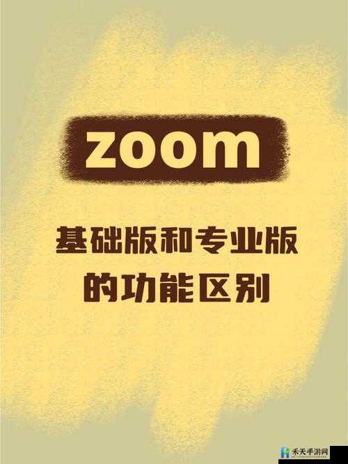 Zoom 与人马性 Zoom 的区别探讨