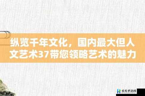 147 大但人文艺术与 37 大但人文艺术的独特魅力