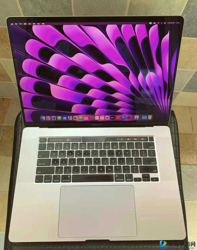 16 岁日本学生对 MacBook Pro 的看法