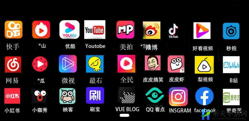 成品短视频软件网站大全 APP 推荐：优质资源全汇聚