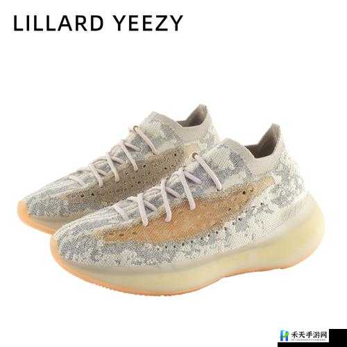 YEEZY 蜜桃满天星价格解析：市场行情与价值探讨