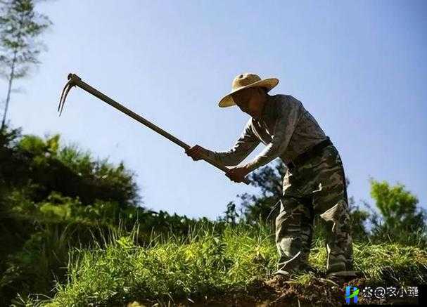 儿子耕种母亲的田地叫什么名字：解析